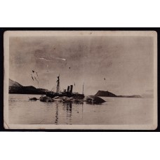 ANTARTIDA ARGENTINA 1920 FOTO TARJETA POSTAL REMOLQUE DE BALLENAS CAZADAS EN GRYTVIKEN GEORGIAS DEL SUR